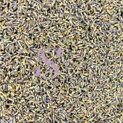 Lavender Flower Super Blue