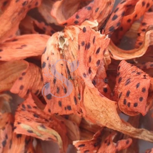 Lily Petals