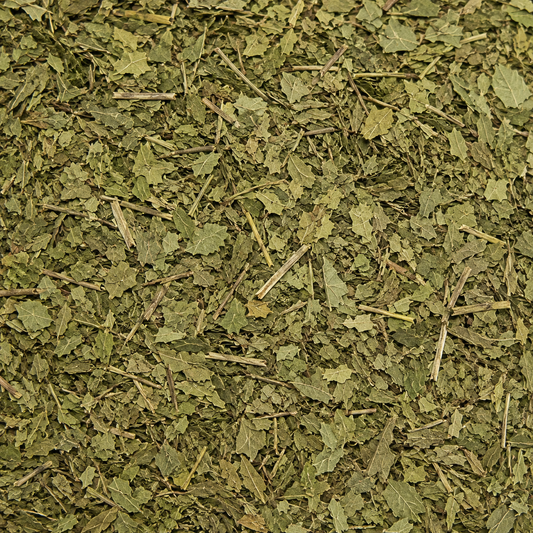 Neem Leaves C/S