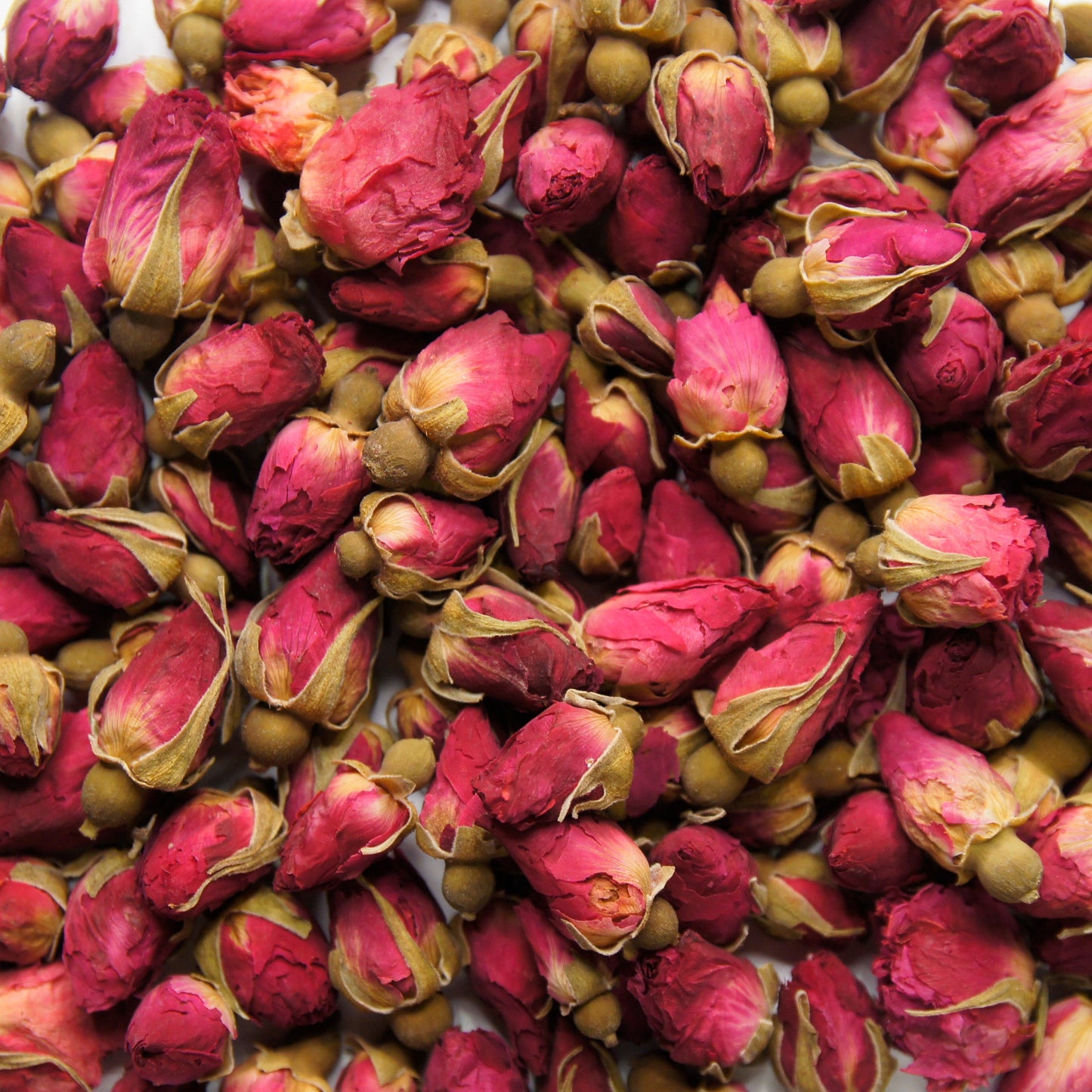 Red Rose Buds & Petals