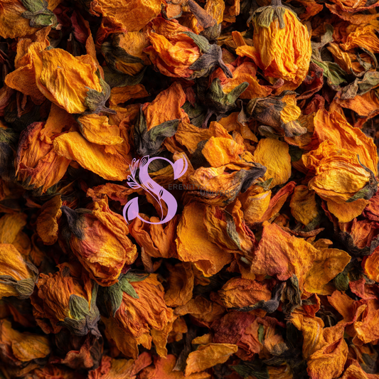 Orange Flower