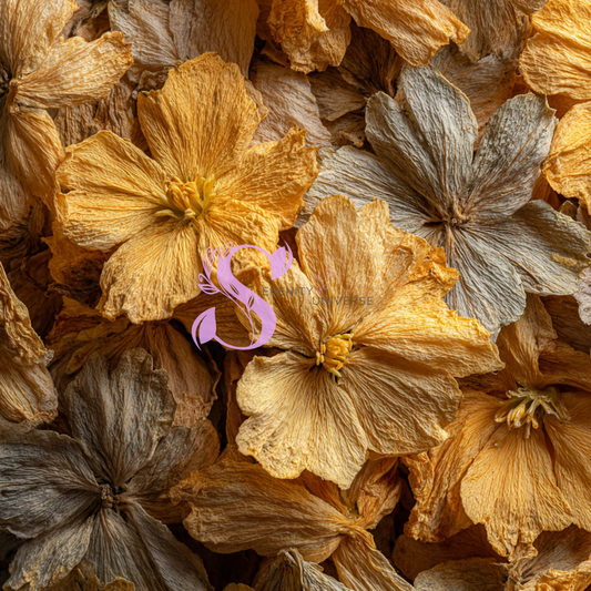 Primrose Flower (Cowslip)