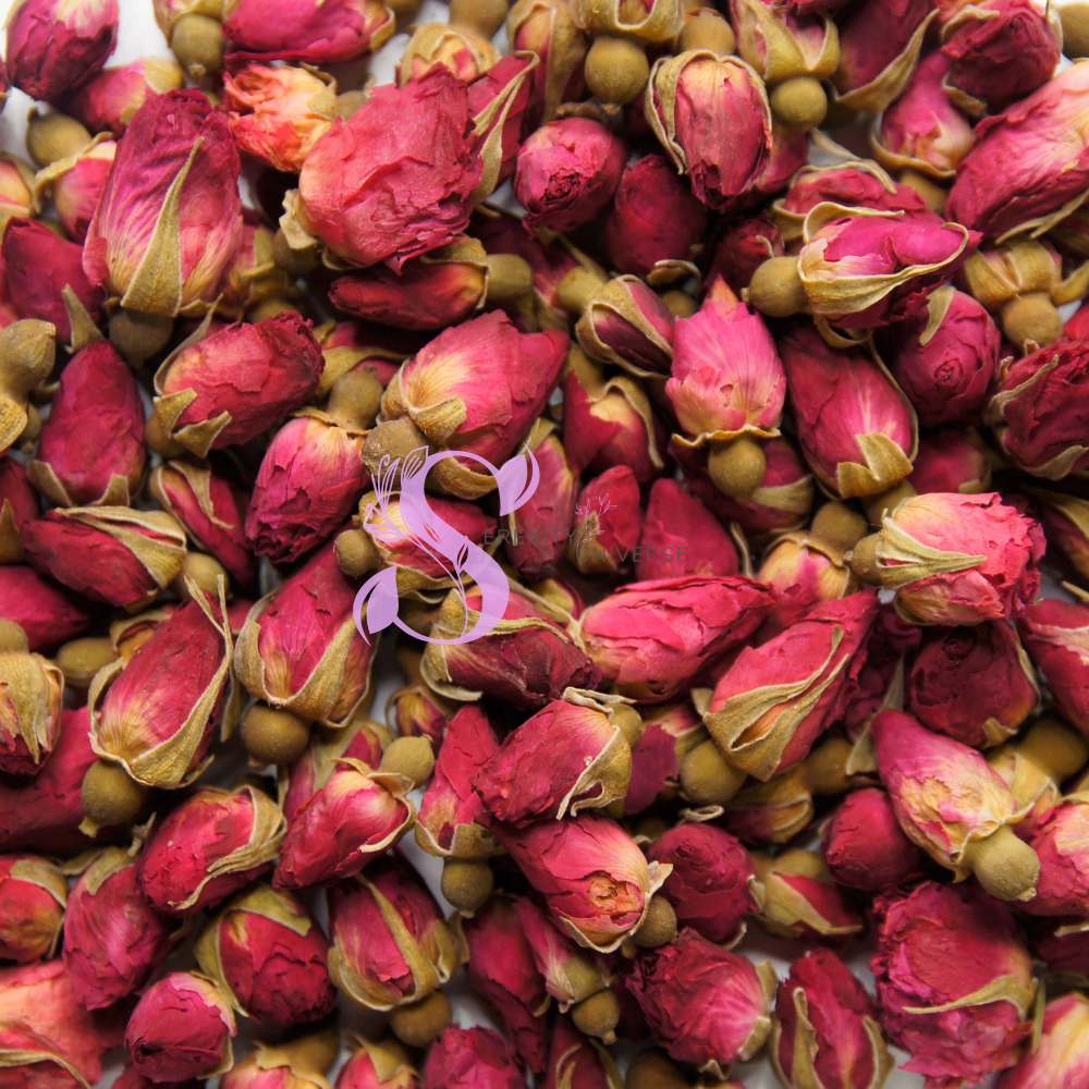 Red Rose Buds & Petals