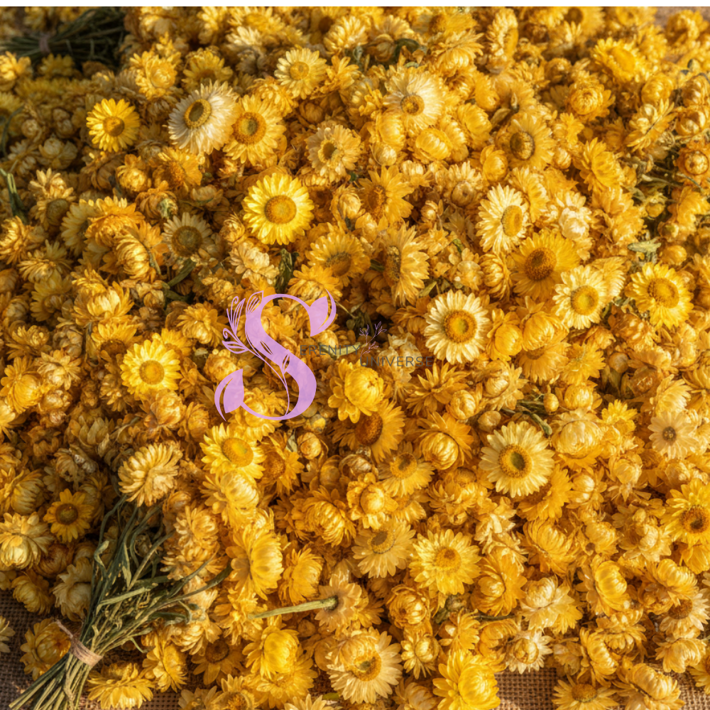 Everlasting Flower