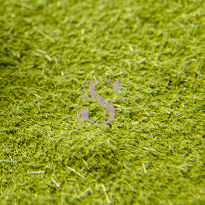 Adulsa Leaves Powder