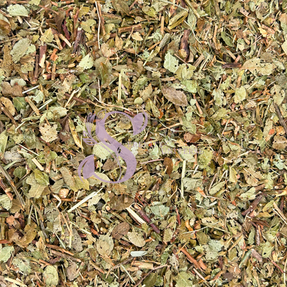 Blueberry Leaves C/S