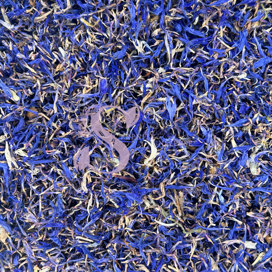 Cornflower Petals Blue