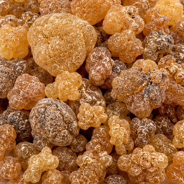 Boswellia Pieces