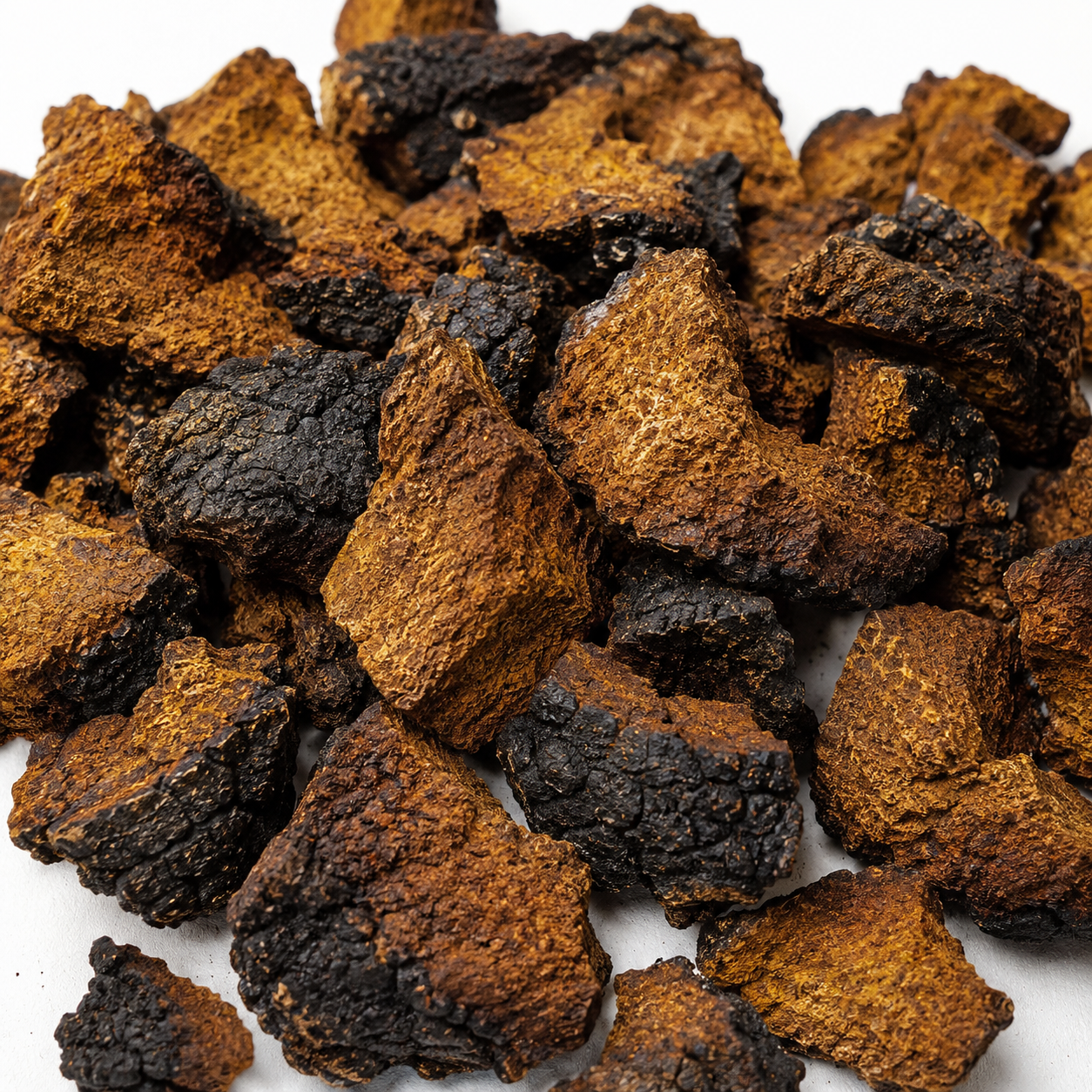 Chaga Mushroom C/S