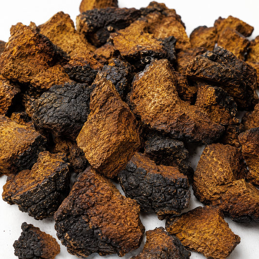 Chaga Mushroom C/S