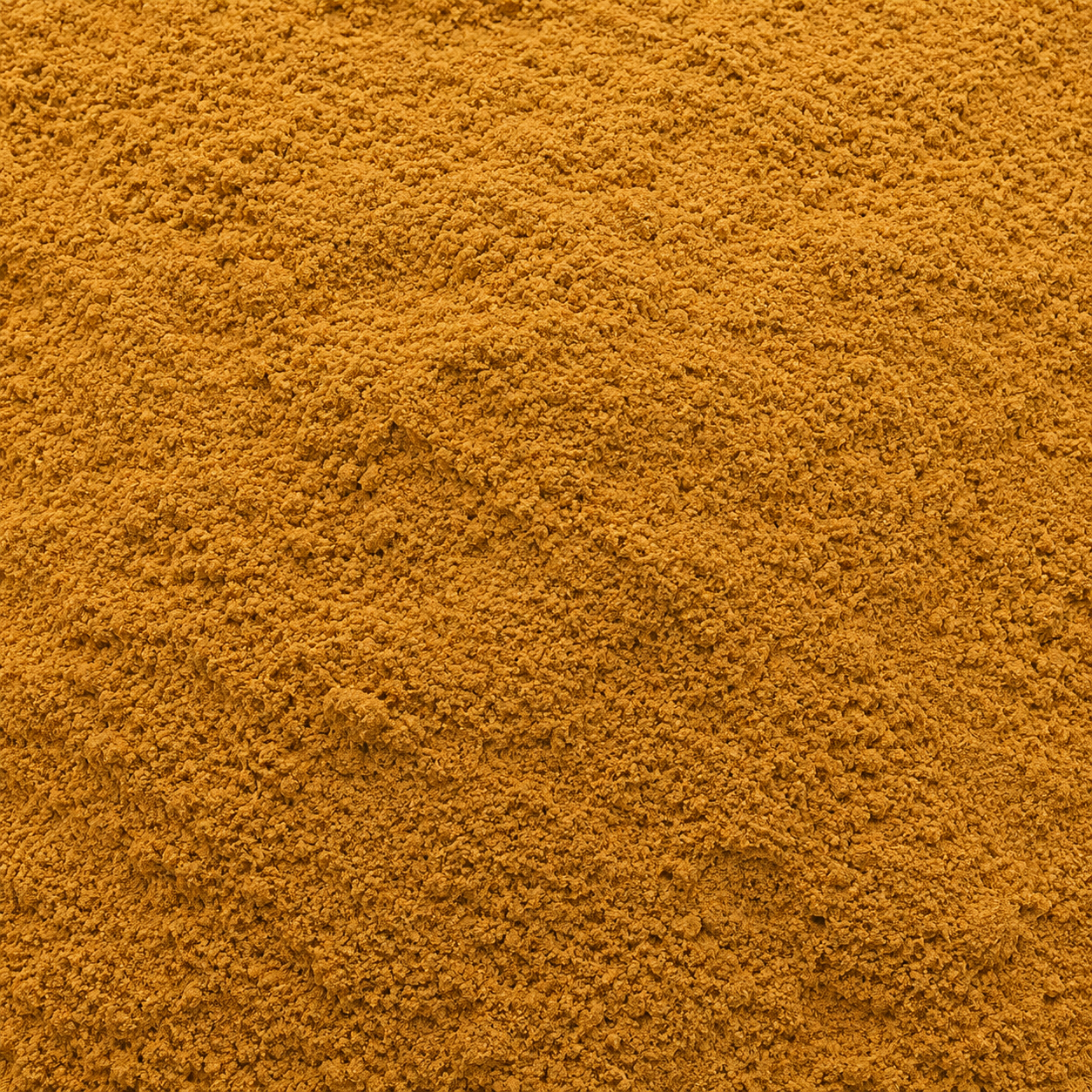 Cordyceps Powder Extract 40%
