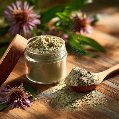 Echinacea Purpurea Herb Powder