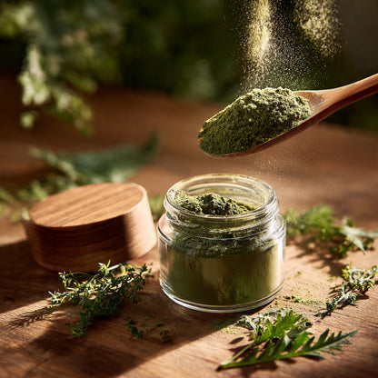 Dandelion Leaves Powder