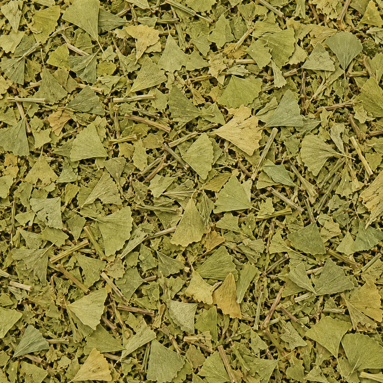 Ginkgo Leaves C/S