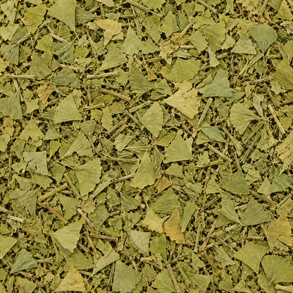 Ginkgo Leaves C/S