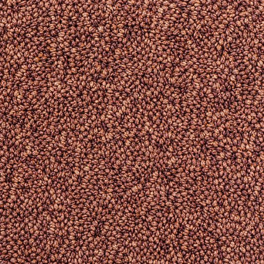 Grape Seed Whole