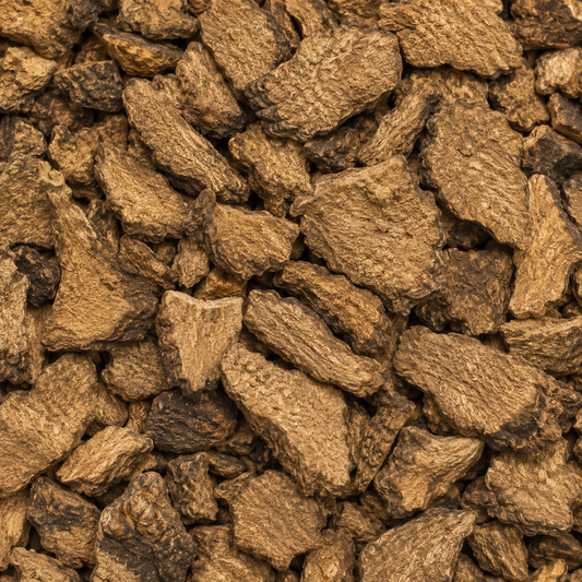 Lomatium Root C/S