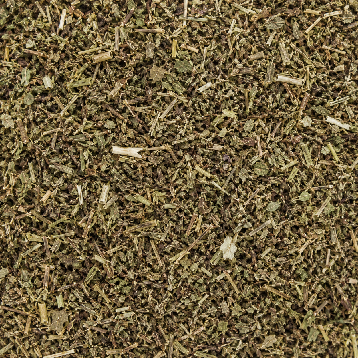 Lungwort