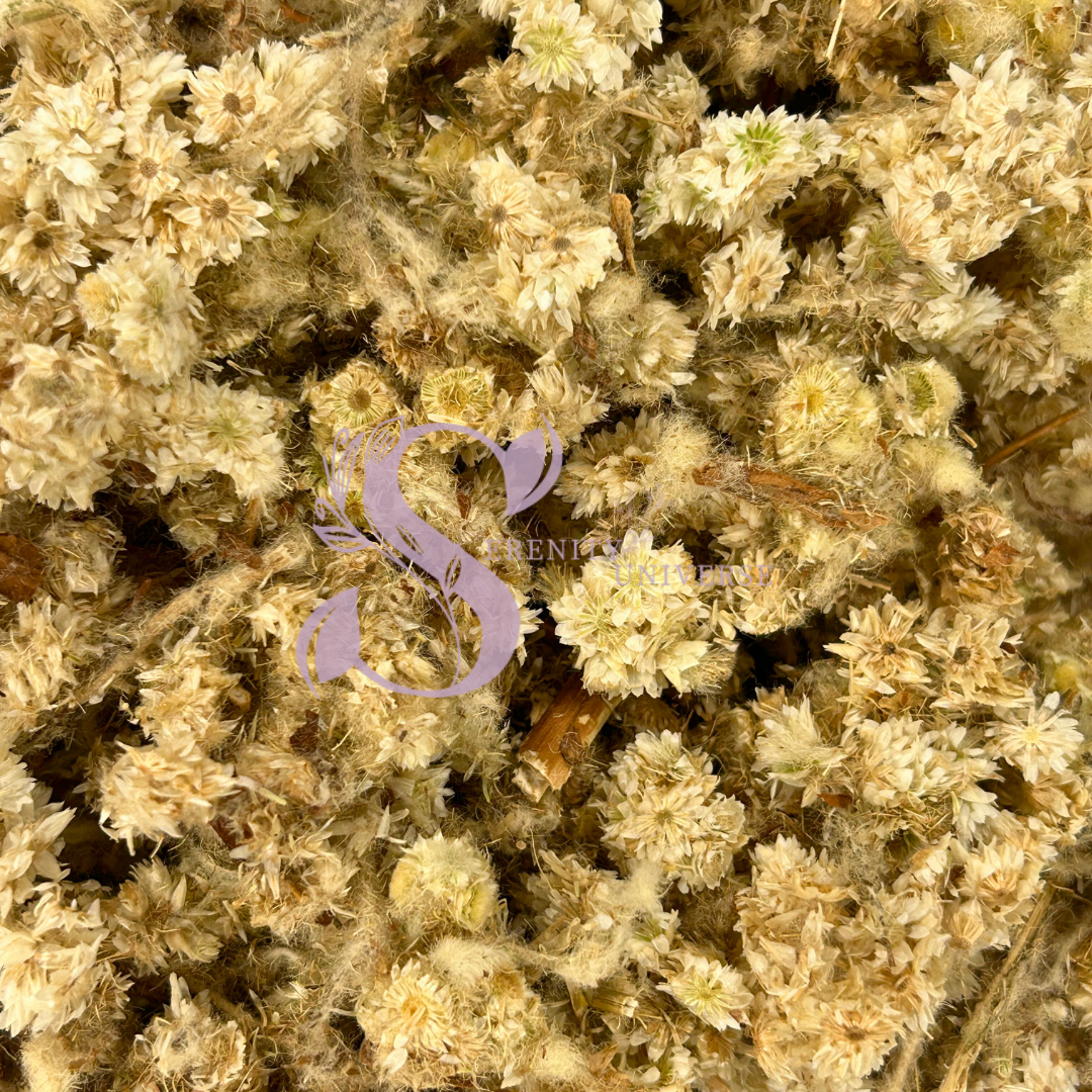 Mullein Flower Whole