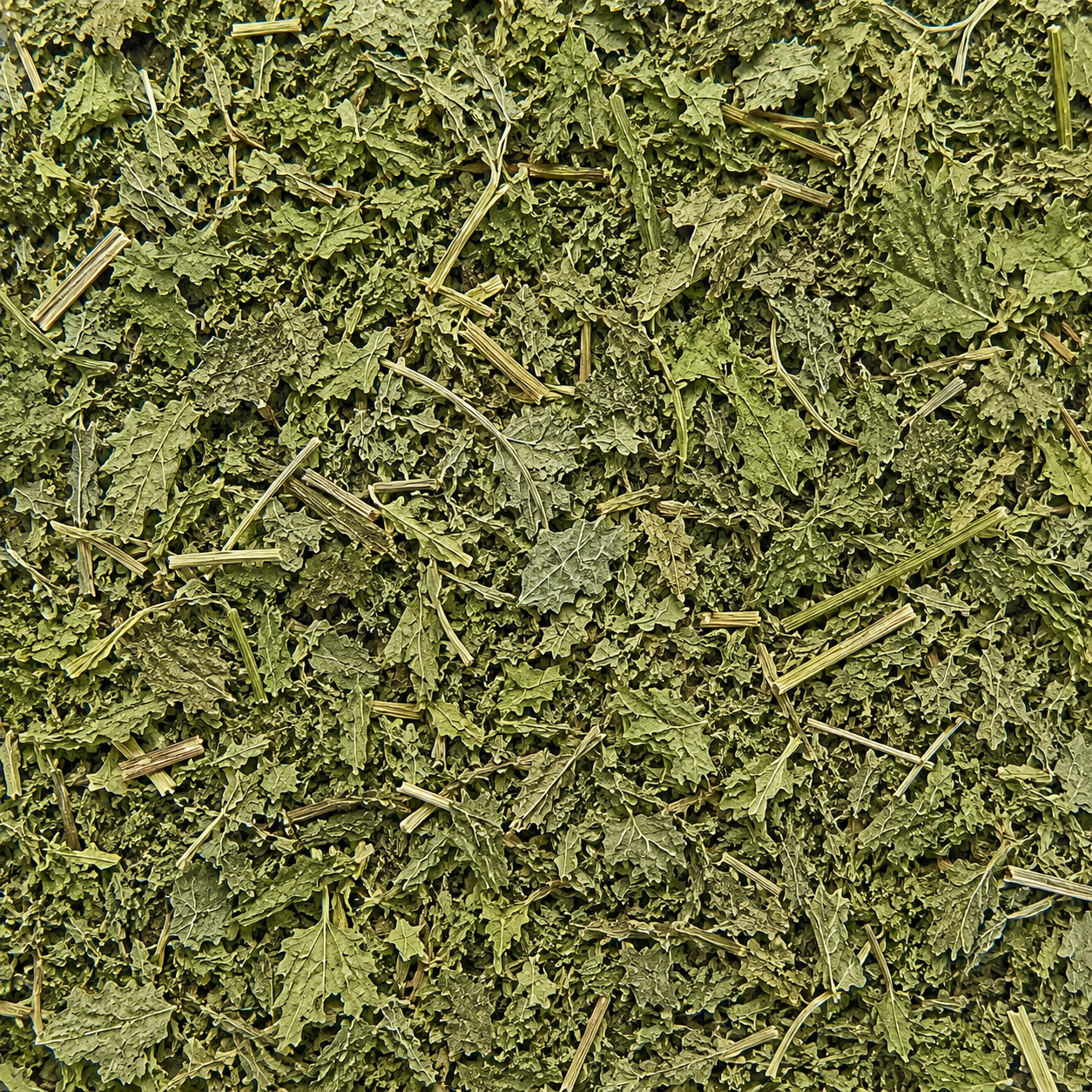 Nettle Leaves C/S