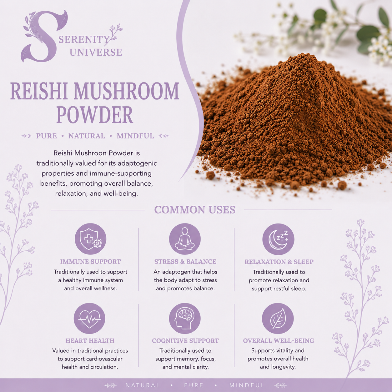 Reishi Mushroom Powder