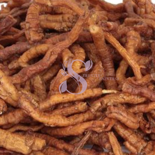 Senega Snake Root C/S