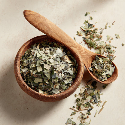 Blueberry Leaves C/S