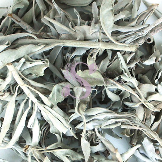 Sage Leaf White (Ceremonial)