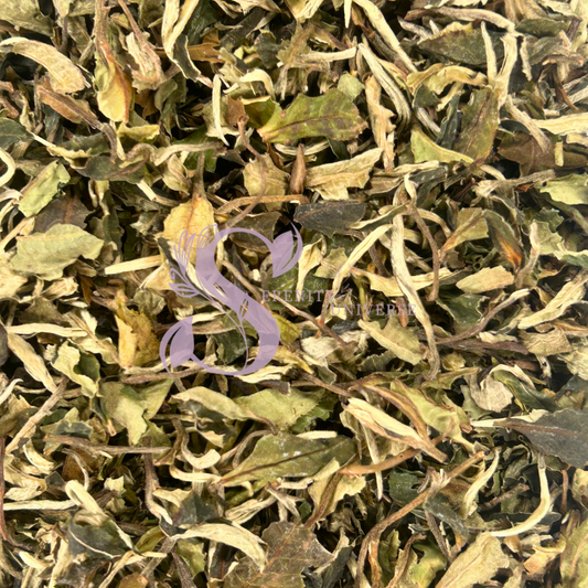 White Tea C/S